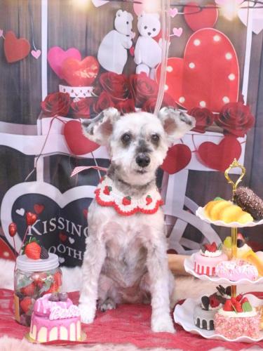 20250225来夢ちゃん